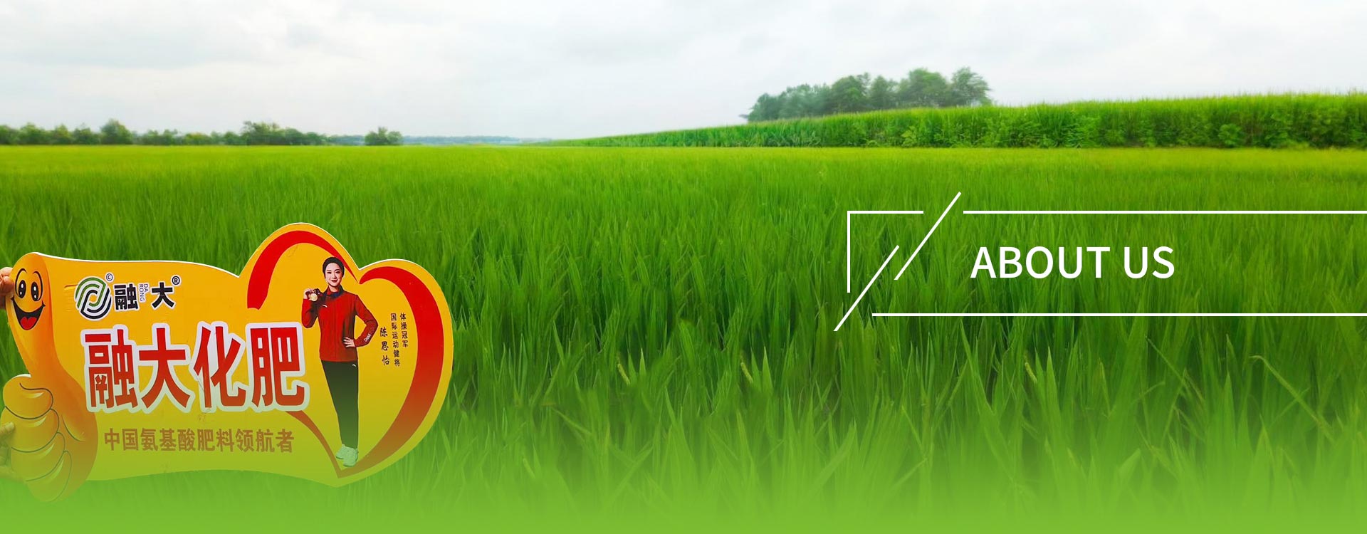 गोपनीयता धोरण