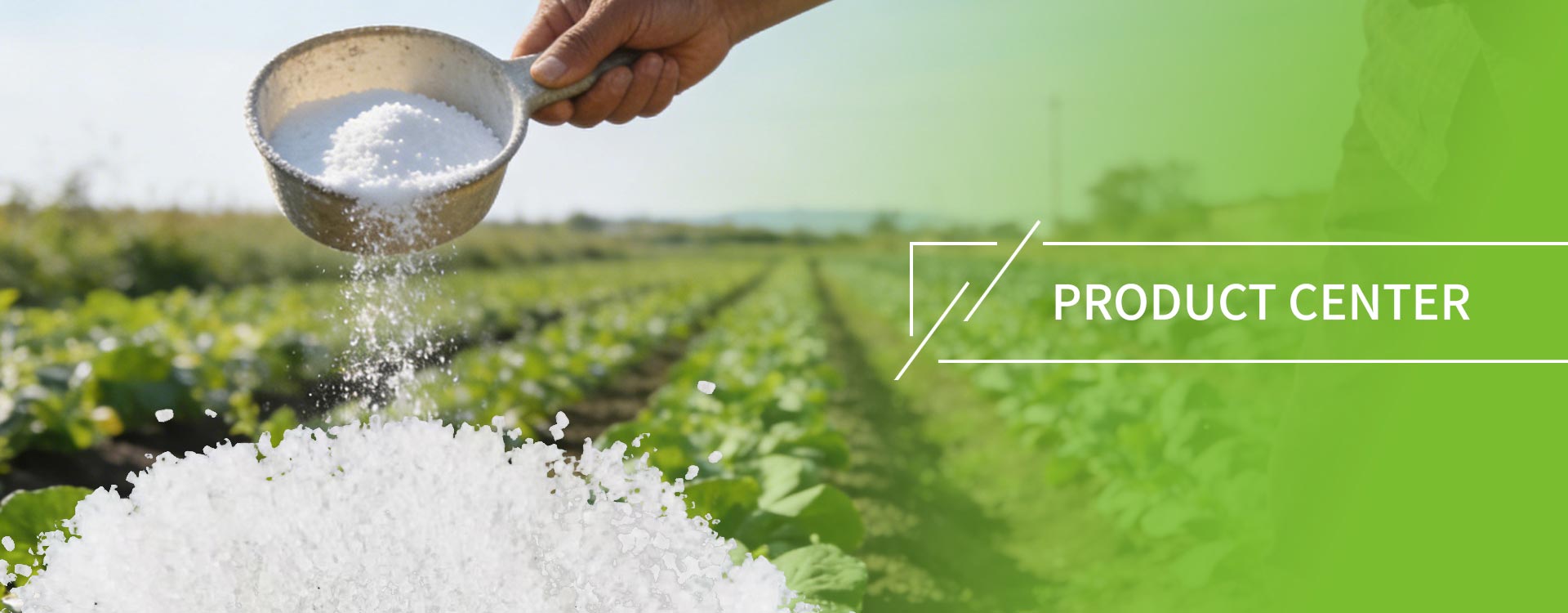 उत्पादने