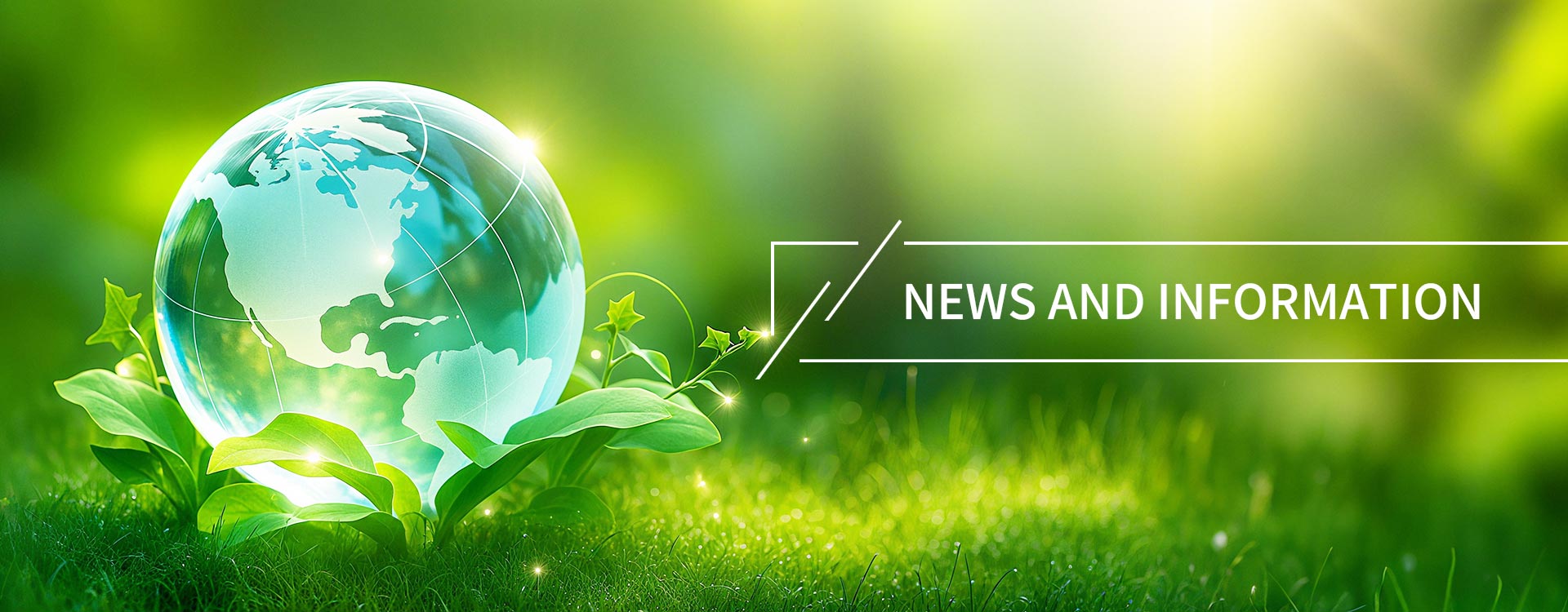 बातम्या